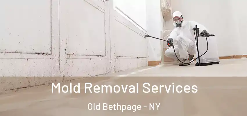 Mold Removal Services Old Bethpage - NY