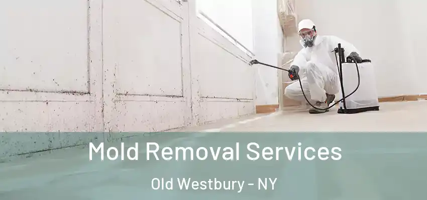  Mold Removal Services Old Westbury - NY