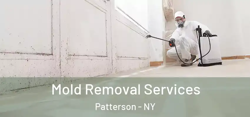  Mold Removal Services Patterson - NY
