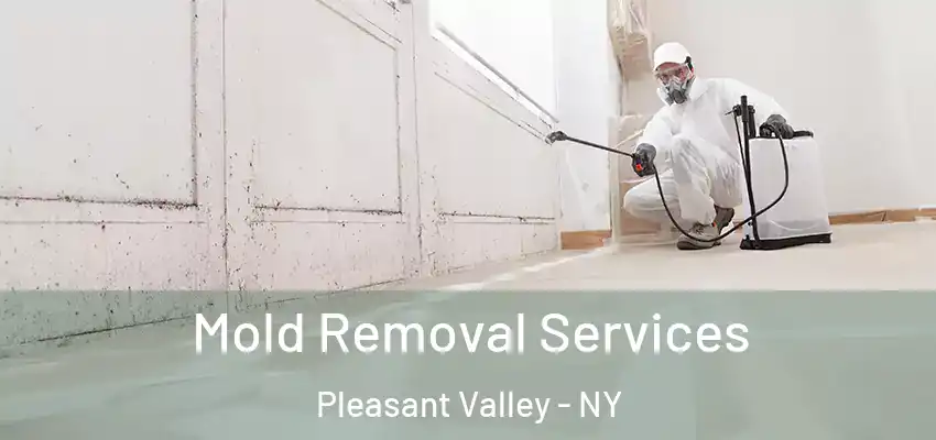 Mold Removal Services Pleasant Valley - NY