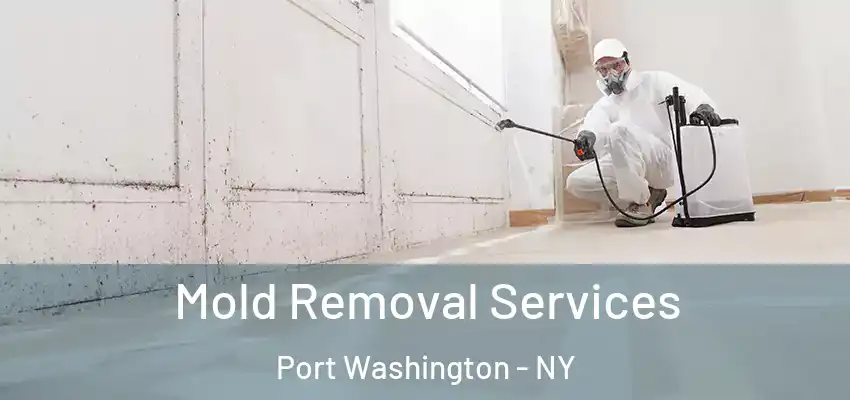  Mold Removal Services Port Washington - NY