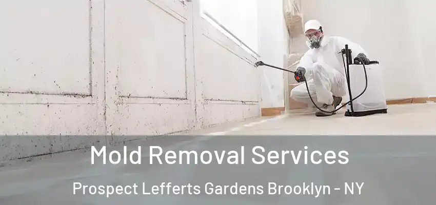  Mold Removal Services Prospect Lefferts Gardens Brooklyn - NY