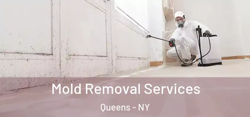  Mold Removal Services Queens - NY