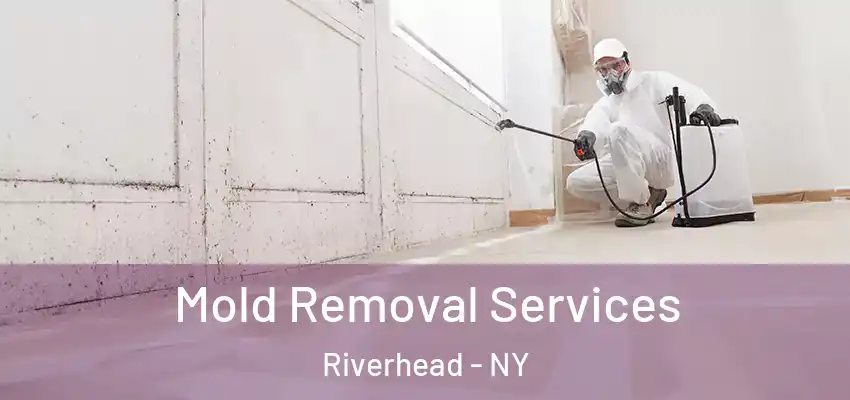 Mold Removal Services Riverhead - NY
