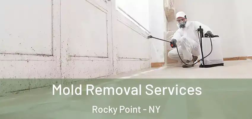 Mold Removal Services Rocky Point - NY