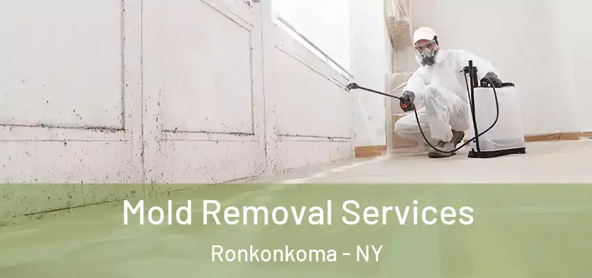 Mold Removal Services Ronkonkoma - NY
