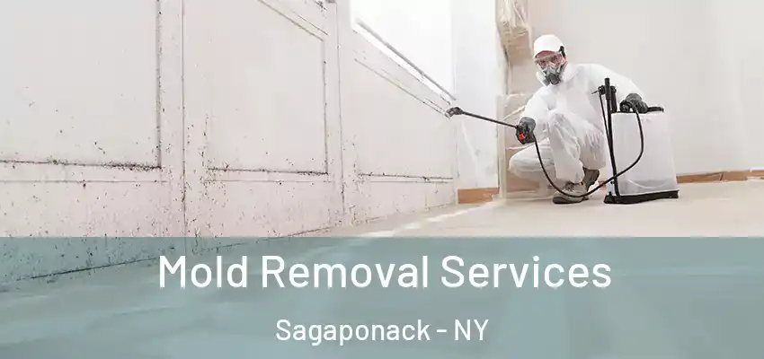  Mold Removal Services Sagaponack - NY