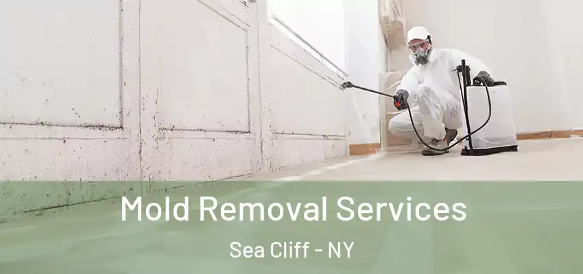 Mold Removal Services Sea Cliff - NY