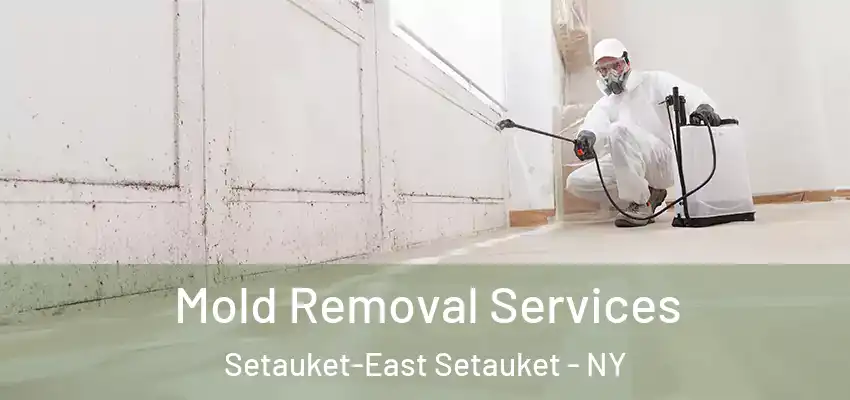  Mold Removal Services Setauket-East Setauket - NY