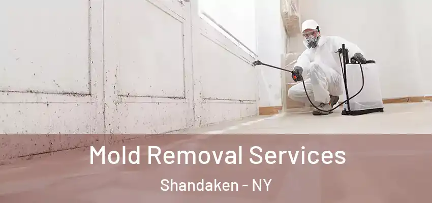  Mold Removal Services Shandaken - NY