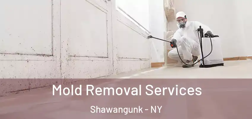 Mold Removal Services Shawangunk - NY