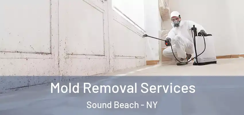  Mold Removal Services Sound Beach - NY