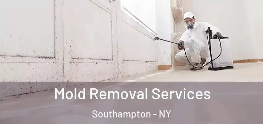  Mold Removal Services Southampton - NY