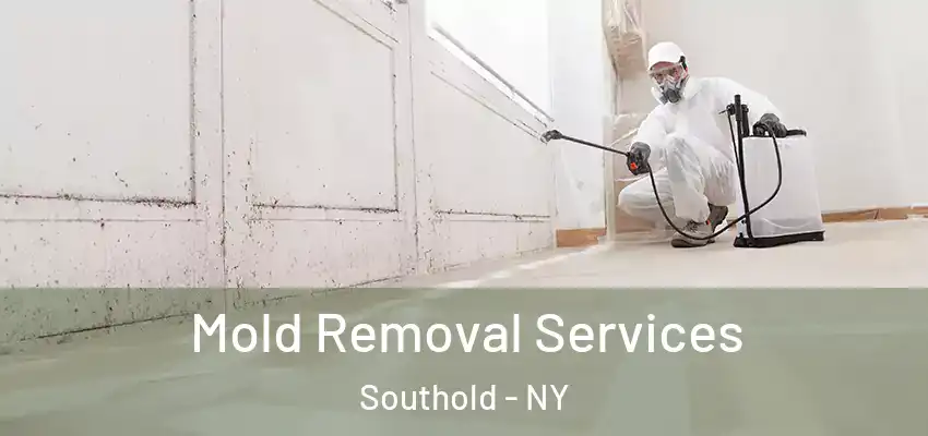 Mold Removal Services Southold - NY