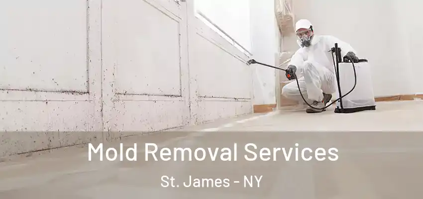 Mold Removal Services St. James - NY