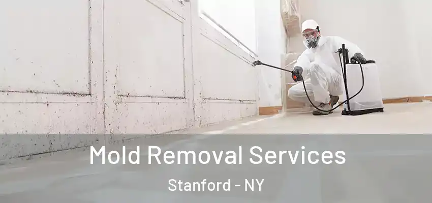 Mold Removal Services Stanford - NY