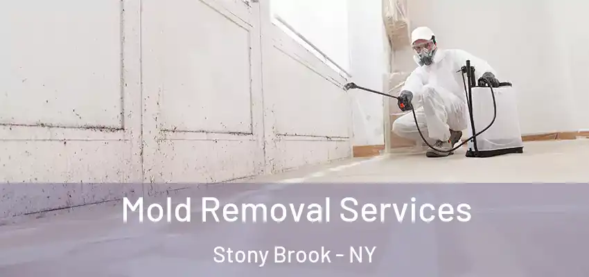 Mold Removal Services Stony Brook - NY