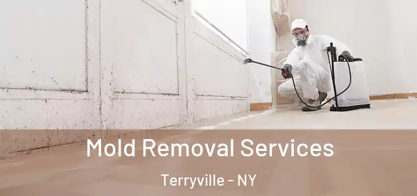  Mold Removal Services Terryville - NY