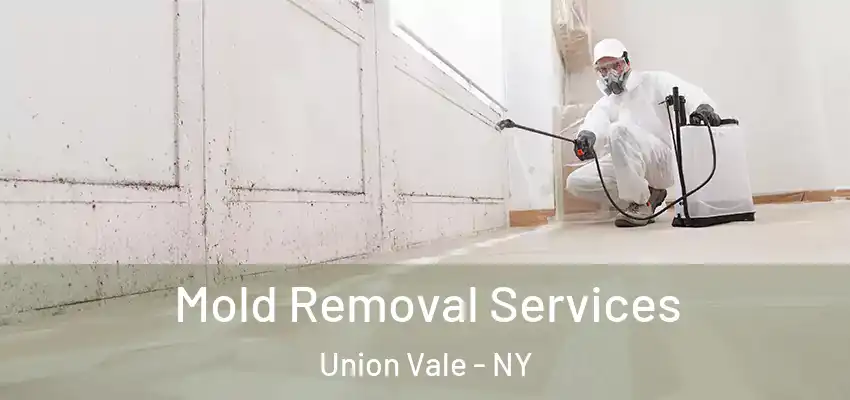 Mold Removal Services Union Vale - NY