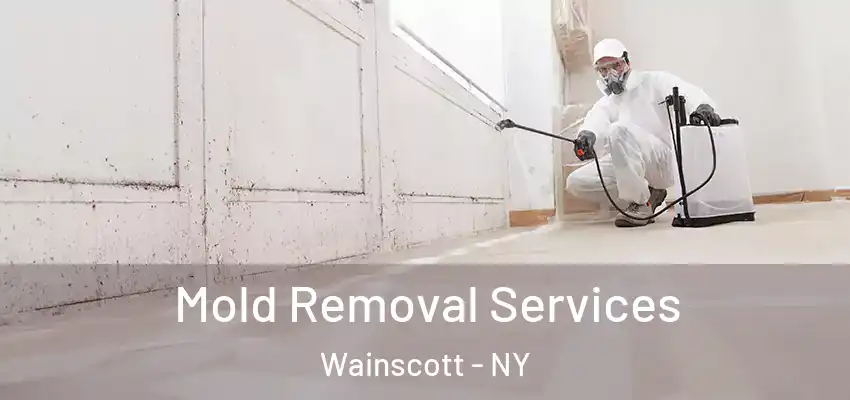  Mold Removal Services Wainscott - NY