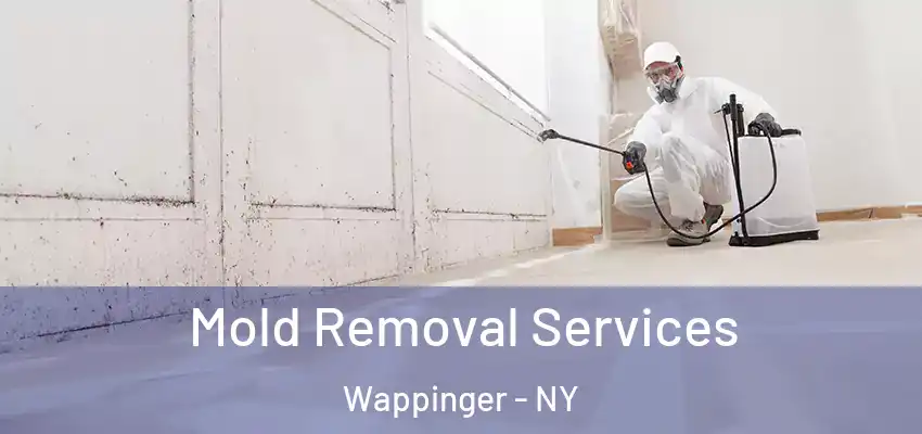  Mold Removal Services Wappinger - NY