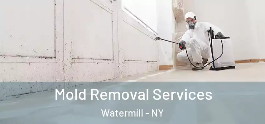 Mold Removal Services Watermill - NY