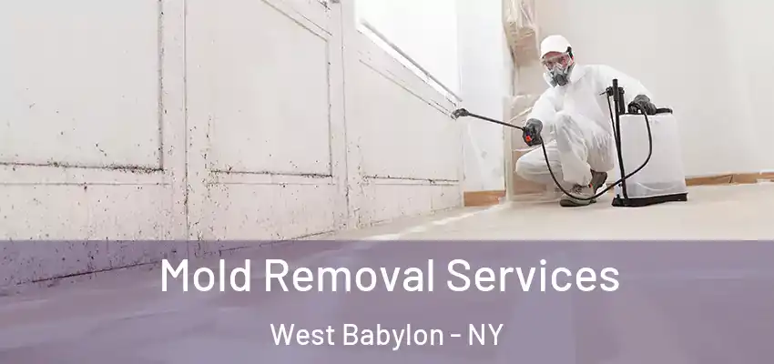 Mold Removal Services West Babylon - NY