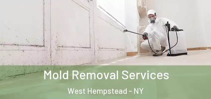 Mold Removal Services West Hempstead - NY