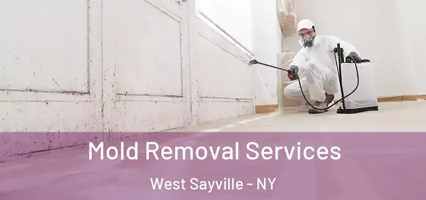  Mold Removal Services West Sayville - NY