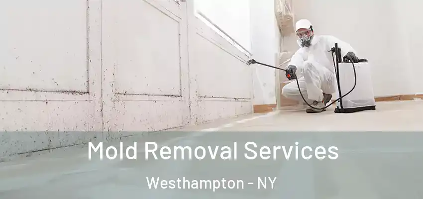  Mold Removal Services Westhampton - NY