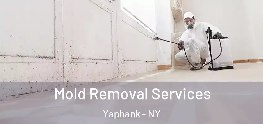 Mold Removal Services Yaphank - NY