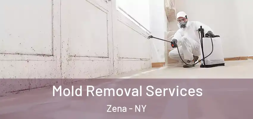  Mold Removal Services Zena - NY