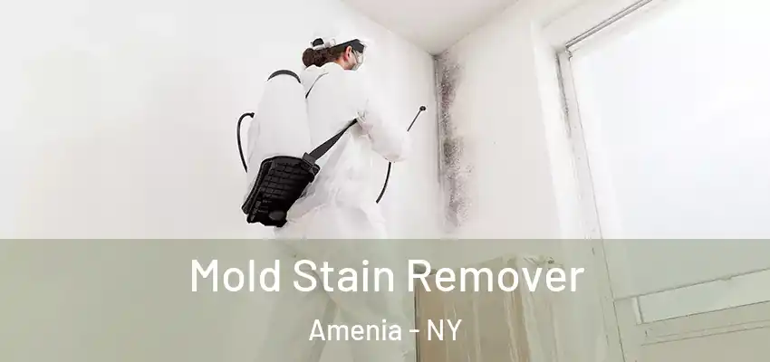  Mold Stain Remover Amenia - NY