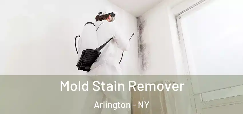  Mold Stain Remover Arlington - NY