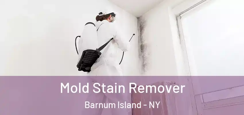  Mold Stain Remover Barnum Island - NY