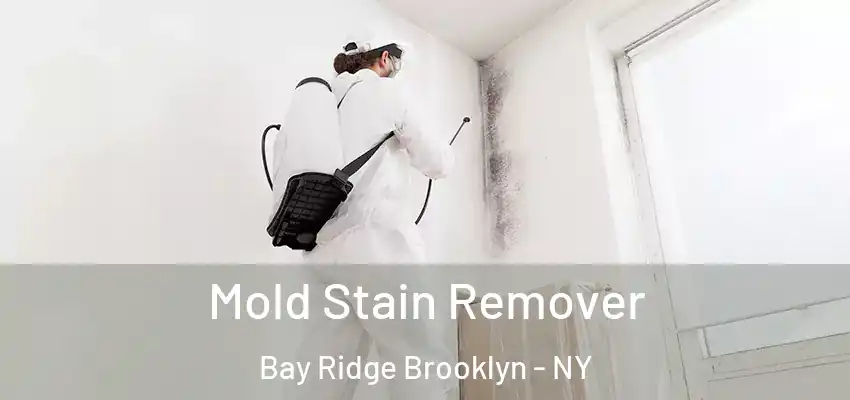  Mold Stain Remover Bay Ridge Brooklyn - NY