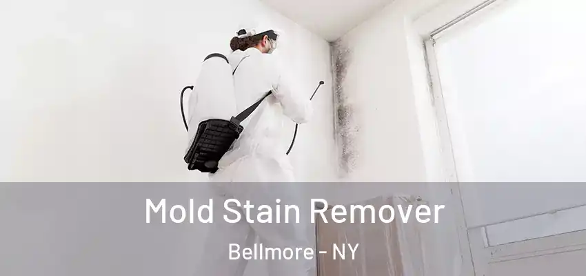 Mold Stain Remover Bellmore - NY