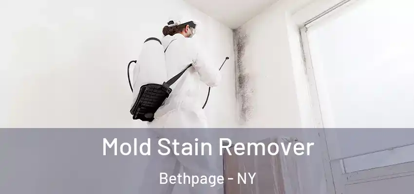  Mold Stain Remover Bethpage - NY