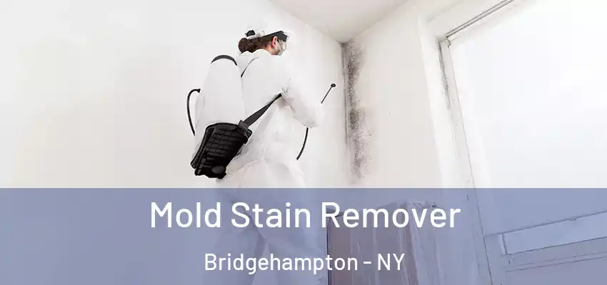 Mold Stain Remover Bridgehampton - NY
