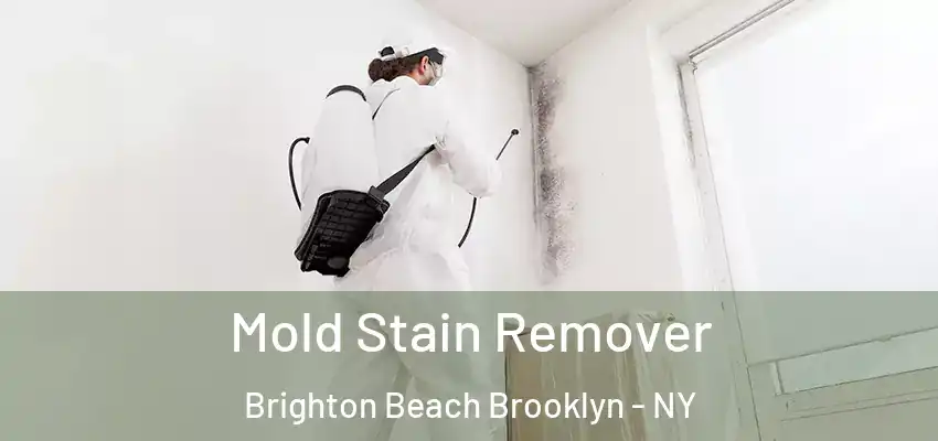  Mold Stain Remover Brighton Beach Brooklyn - NY