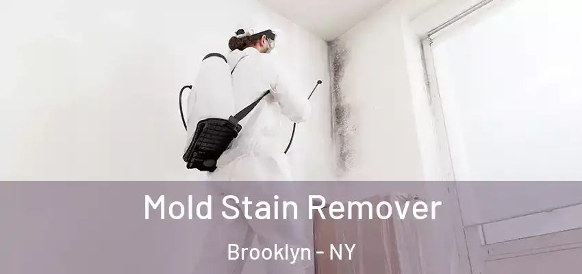 Mold Stain Remover Brooklyn - NY