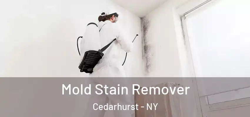 Mold Stain Remover Cedarhurst - NY