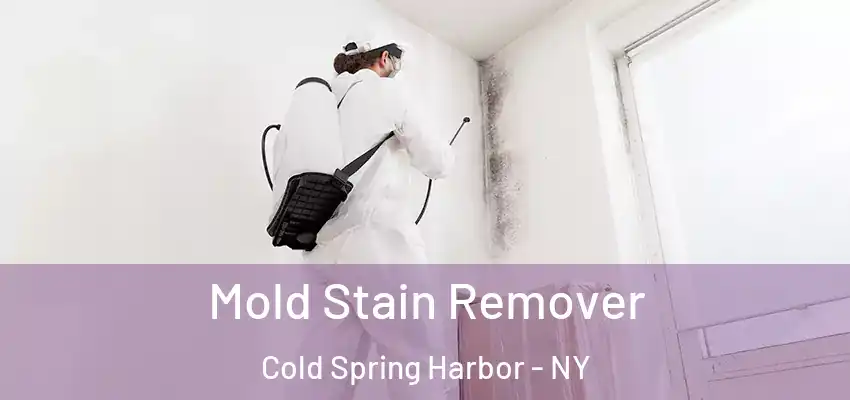  Mold Stain Remover Cold Spring Harbor - NY