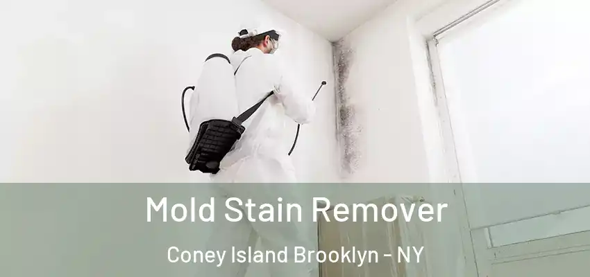 Mold Stain Remover Coney Island Brooklyn - NY