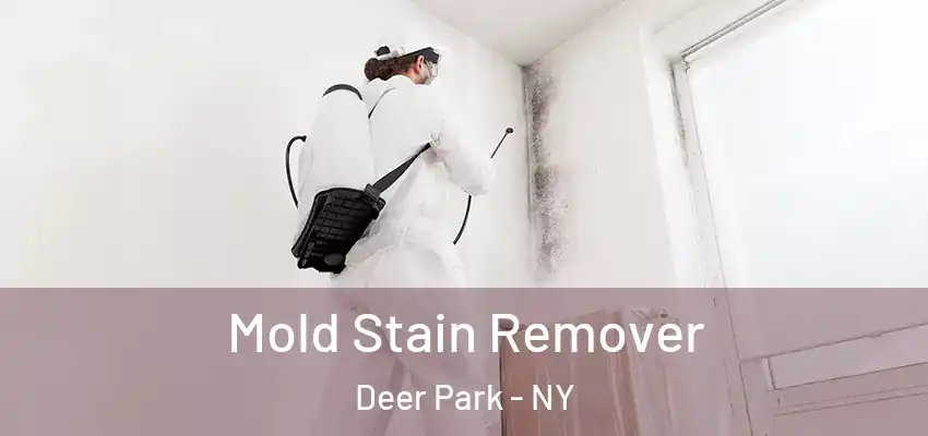 Mold Stain Remover Deer Park - NY