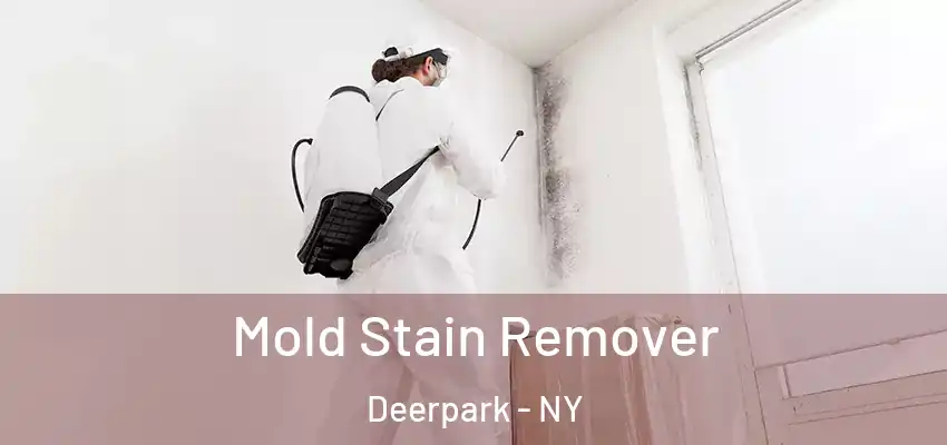  Mold Stain Remover Deerpark - NY