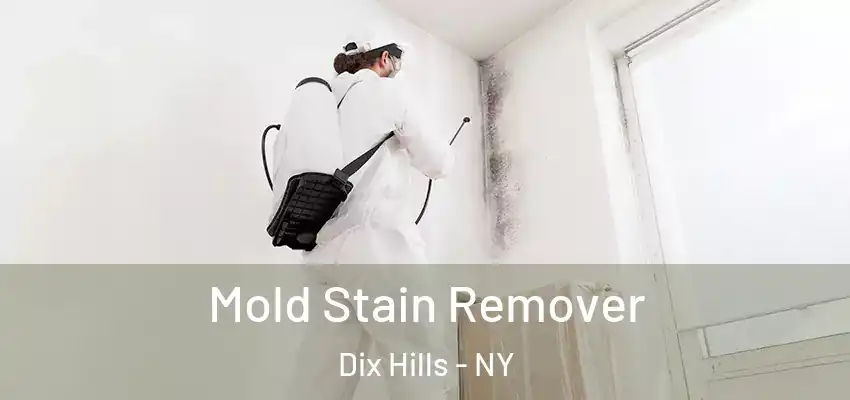  Mold Stain Remover Dix Hills - NY