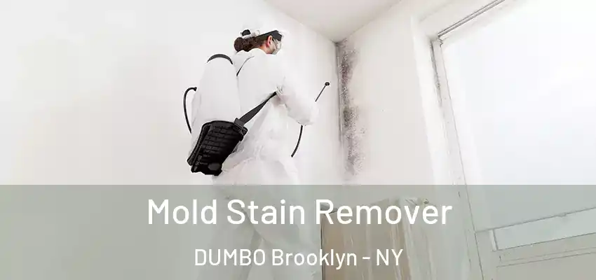  Mold Stain Remover DUMBO Brooklyn - NY