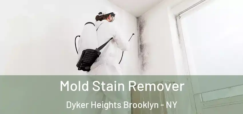  Mold Stain Remover Dyker Heights Brooklyn - NY