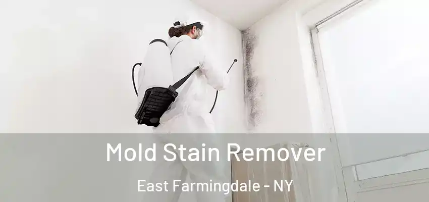 Mold Stain Remover East Farmingdale - NY